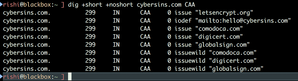 caa_cybersins_dns